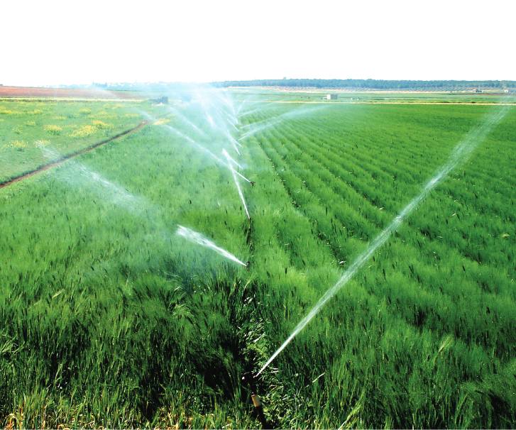 Irrigation